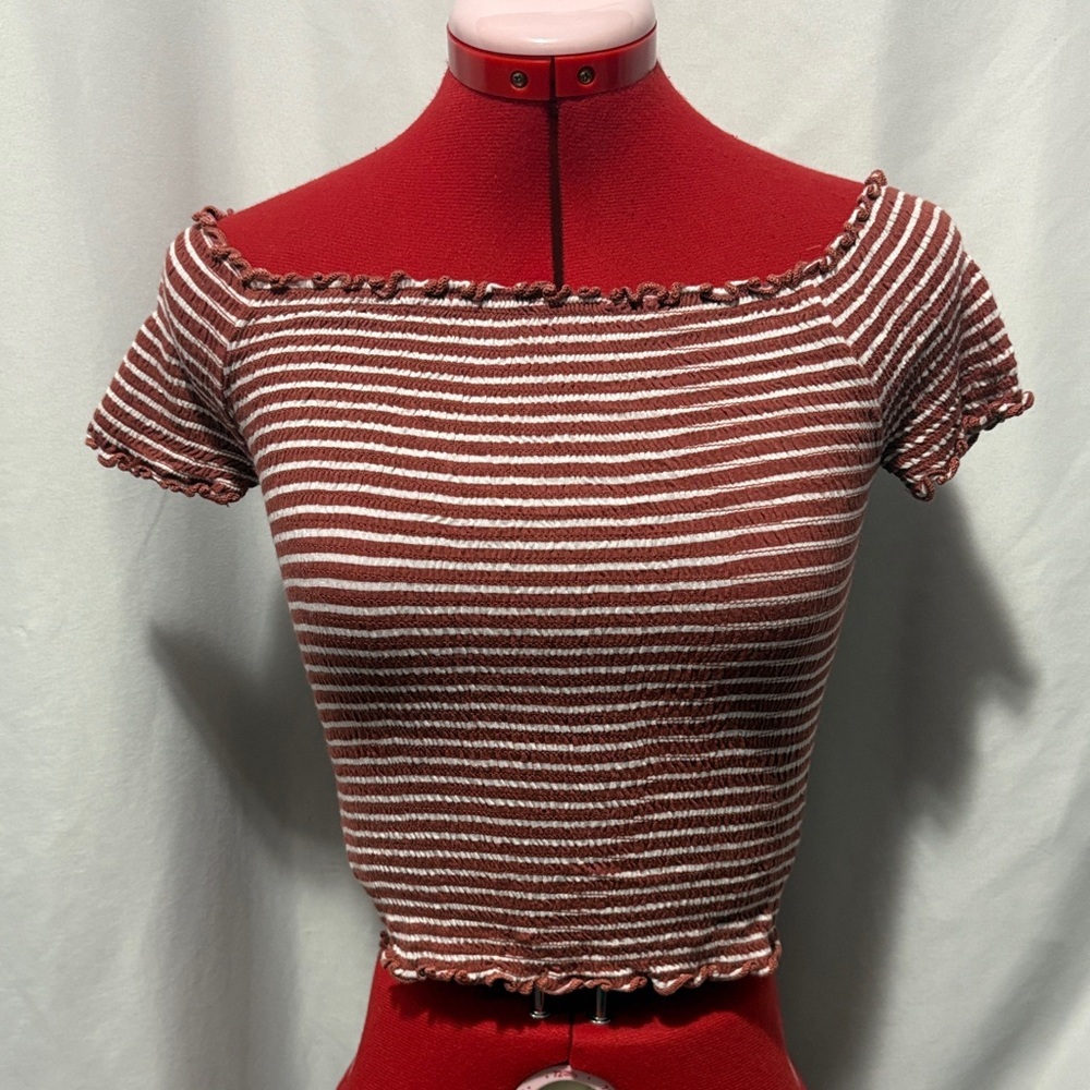 Heart & Hips Brown and White Striped Crop Top SM64